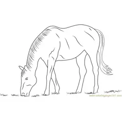 Horse Eating Grass Free Coloring Page for Kids