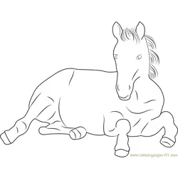 Horse Free Coloring Page for Kids