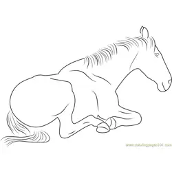 Sitting Horse Free Coloring Page for Kids