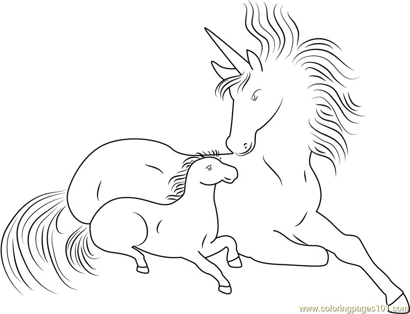 Unicorn With Her Son