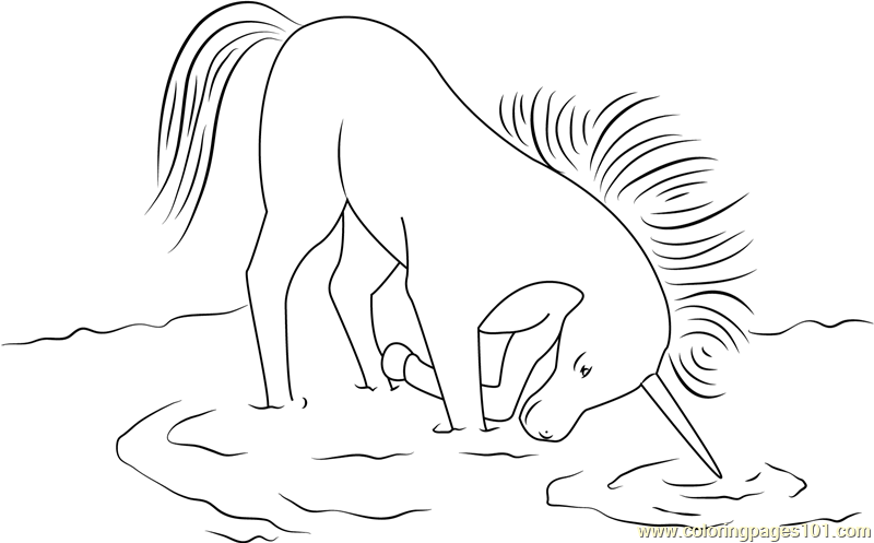 Unicorn in Drinking Water Coloring Page for Kids - Free Unicorn