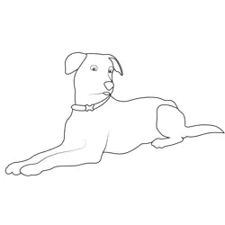 Dog Sitting Posture Free Coloring Page for Kids