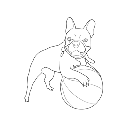 Playing Puppy Bulldog Free Coloring Page for Kids
