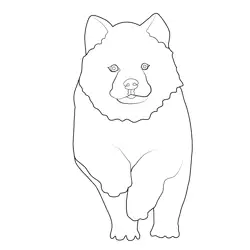 Running Puppy Free Coloring Page for Kids