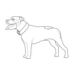 Staffordshire Bull Terrier Dog Free Coloring Page for Kids