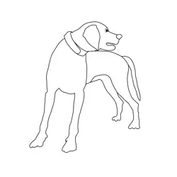 Weimaraner Dog Free Coloring Page for Kids