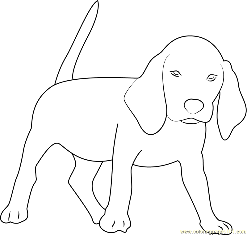 Beagle Coloring Page for Kids - Free Dog Printable Coloring Pages