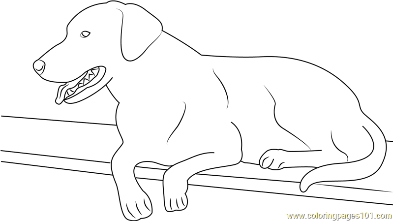 Best Dog Black Labrador Coloring Page For Kids Free Dog Printable Coloring Pages Online For Kids Coloringpages101 Com Coloring Pages For Kids