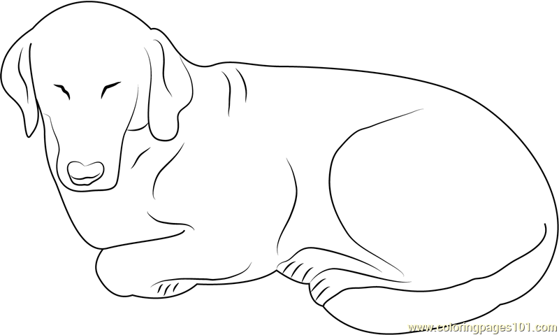 Black Dog Coloring Page for Kids - Free Dog Printable Coloring Pages ...