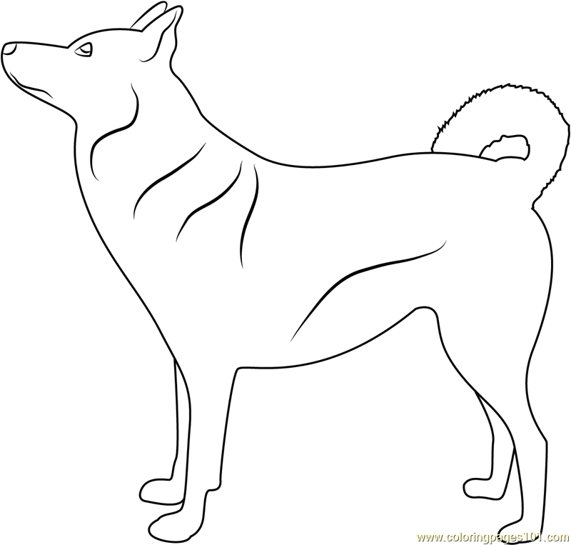 Canaan Dog Coloring Page for Kids - Free Dog Printable Coloring Pages