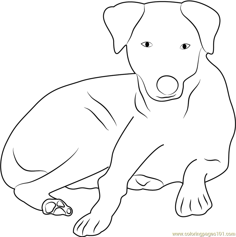Charming Dog Sitting Coloring Page for Kids - Free Dog Printable
