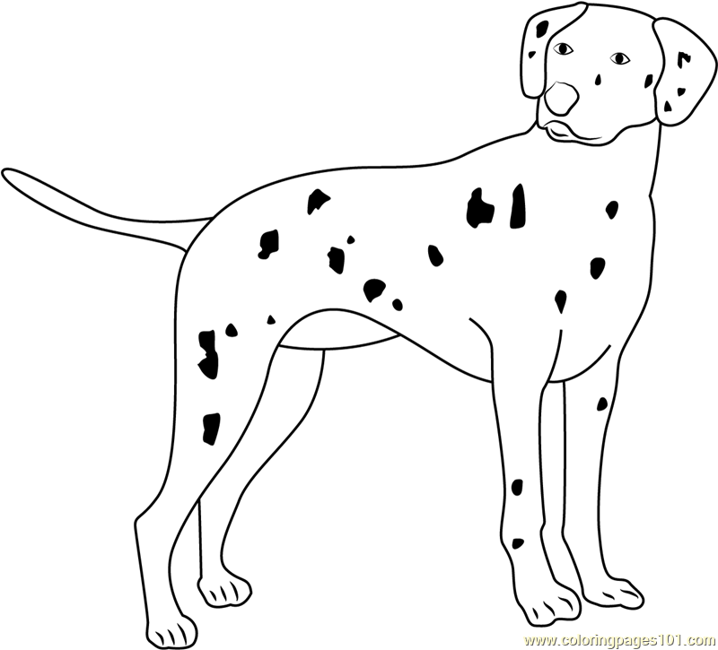 Dalmatian Coloring Page for Kids - Free Dog Printable Coloring Pages