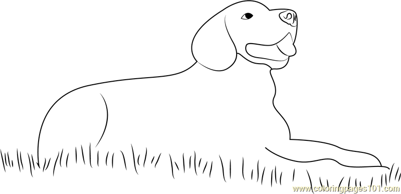 Dog Sitting in Grass Coloring Page for Kids - Free Dog Printable