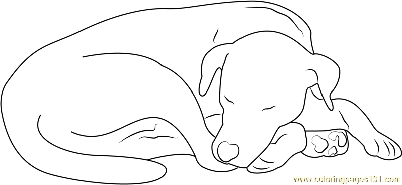 Let Sleeping Dog Coloring Page for Kids - Free Dog Printable Coloring