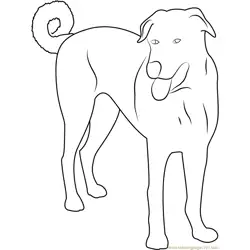 Anatolian Dog Free Coloring Page for Kids