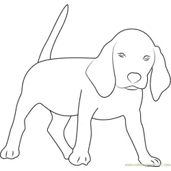 Beagle Free Coloring Page for Kids