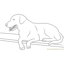 Best Dog Black Labrador Free Coloring Page for Kids