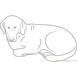 Black Dog Free Coloring Page for Kids