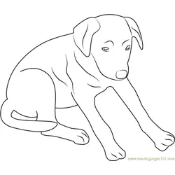Black Up Dog Free Coloring Page for Kids