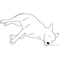 Canaan Dog Sleeping Free Coloring Page for Kids