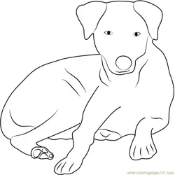Charming Dog Sitting Free Coloring Page for Kids