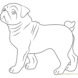 Cute Bull Dog Free Coloring Page for Kids