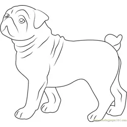 Cute Bull Dog Free Coloring Page for Kids