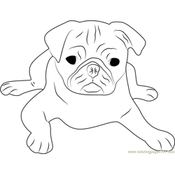 Cute Pug Face Free Coloring Page for Kids