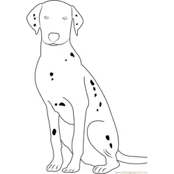 Dalmatian Dog Portrait Free Coloring Page for Kids