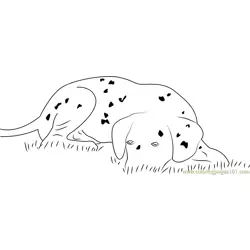 Dalmatian Dog Puppy Free Coloring Page for Kids