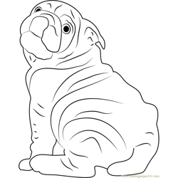 Dog Breeds in America Free Coloring Page for Kids