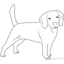 Dog Look Me Free Coloring Page for Kids