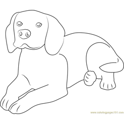 Dog Look Up Free Coloring Page for Kids
