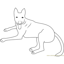 Dog Look You Free Coloring Page for Kids