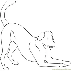 Dog Play Bow Free Coloring Page for Kids