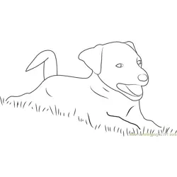 Dog Playing in Grass Free Coloring Page for Kids