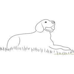 Dog Sitting in Grass Free Coloring Page for Kids