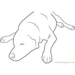 Dog Sleeping Up Free Coloring Page for Kids