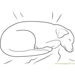 Dog Sleeping on Bed Free Coloring Page for Kids