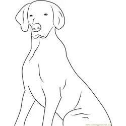 Dog Think Something Free Coloring Page for Kids