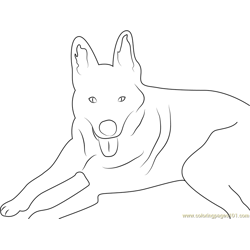 Dog in Dawn Free Coloring Page for Kids