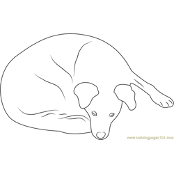 Dog in Home Free Coloring Page for Kids