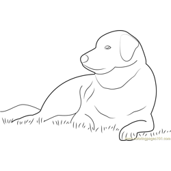 Dog see Free Coloring Page for Kids