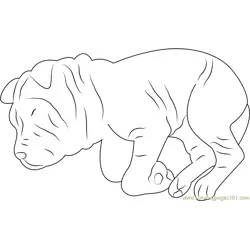 Funny Dog Sleeping Free Coloring Page for Kids