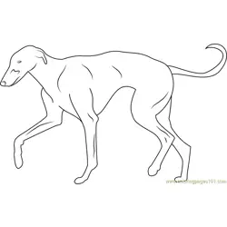 Greyhound Free Coloring Page for Kids