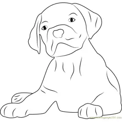 Lovely Dog Face Free Coloring Page for Kids
