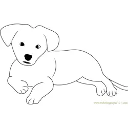 Nice Puppy Free Coloring Page for Kids
