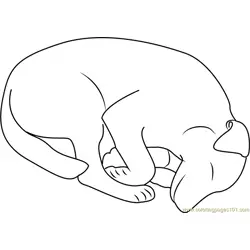 Sleeping Out Dog Free Coloring Page for Kids