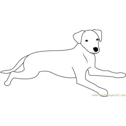 Slim Dog Free Coloring Page for Kids