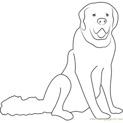 White Dog Free Coloring Page for Kids